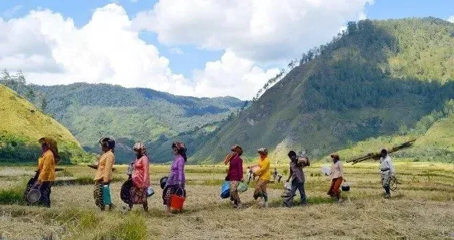 Gunung Bateekeubeu: Keindahan Alam dan Pesona Alam Pegunungan