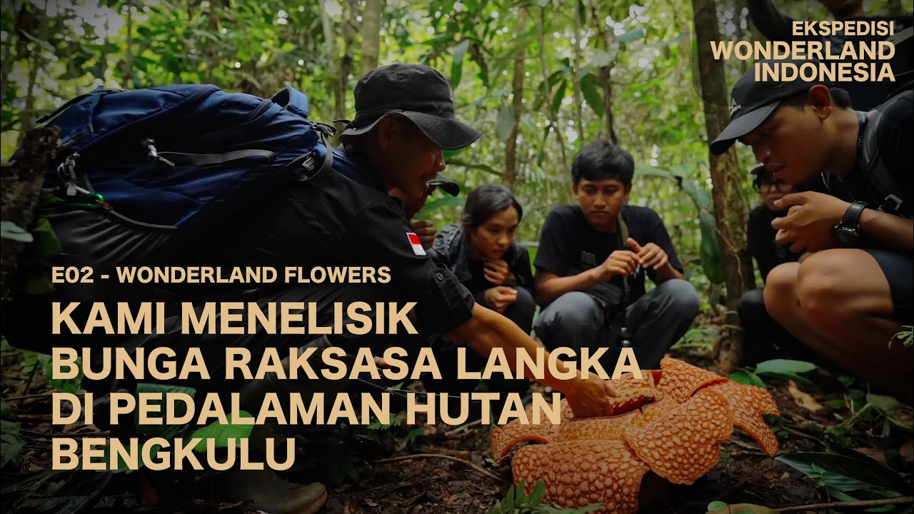 Menelusuri Pesona dan Keajaiban di Dunia Film Wonderland