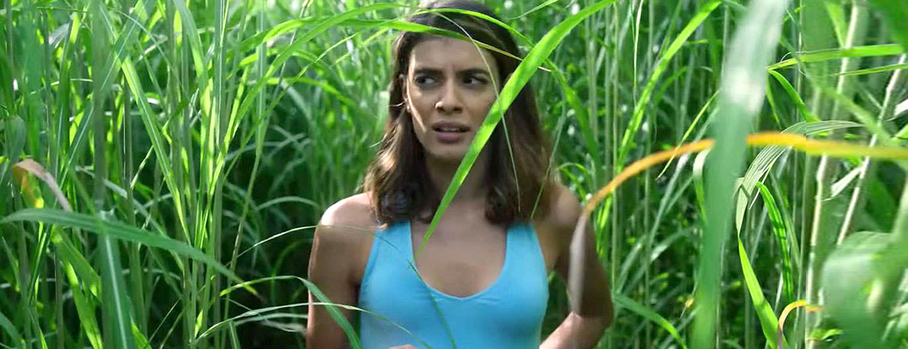 Film Grass: Menyelami Keindahan dan Manfaat Rumput Film di Dunia Perfilman